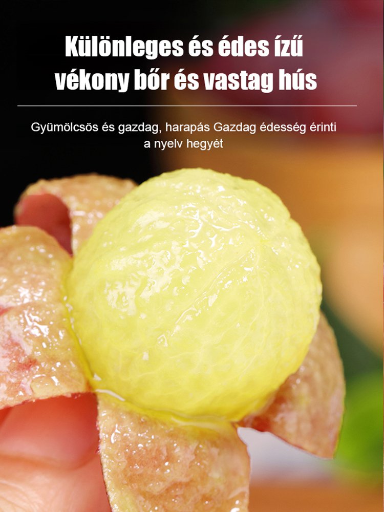 Nina királynő szőlőmagok, természetes boraromával