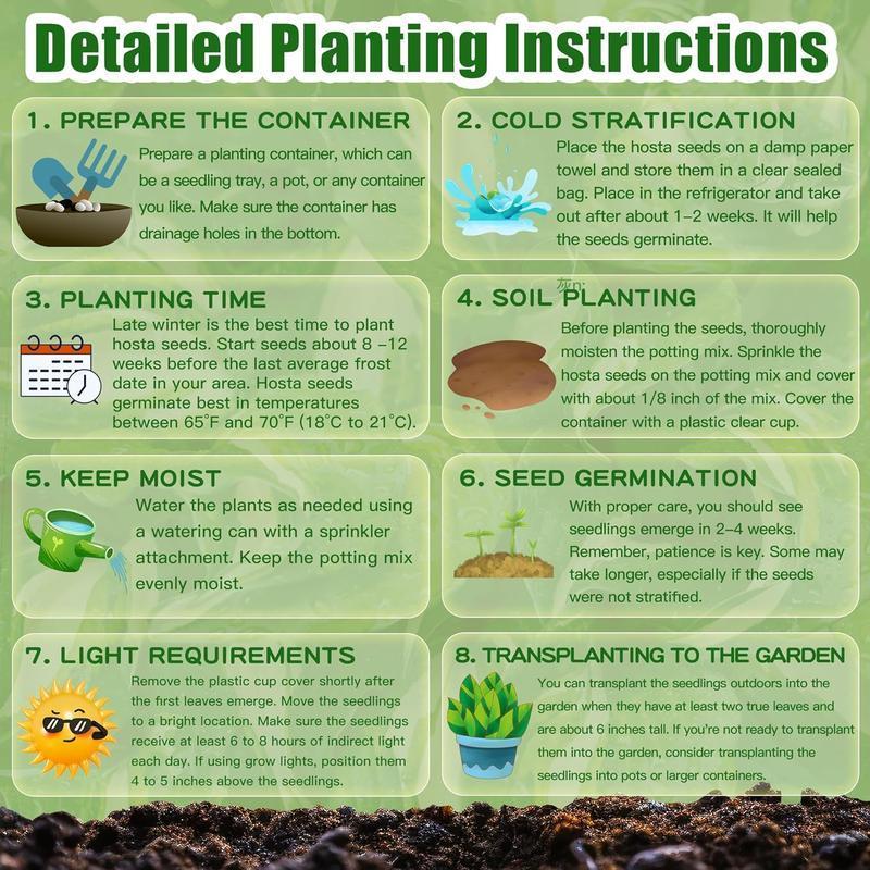 🔥Gorąca wyprzedaż - 49% TANIEJ🔥🌱Mieszane nasiona róż - bez GMO, łatwe w uprawie, piękne kwiaty wieloletnie