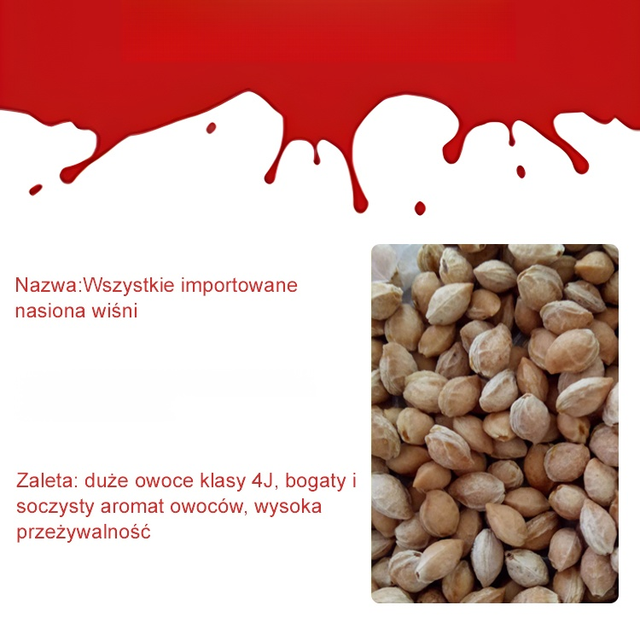 Pestki wiśni Chelsea (90% przeżywalności)