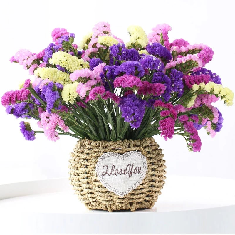 Blue Memory Nefelejcs magok – Minőségileg ellenőrzött Cottage Garden Blooms 🌿💙