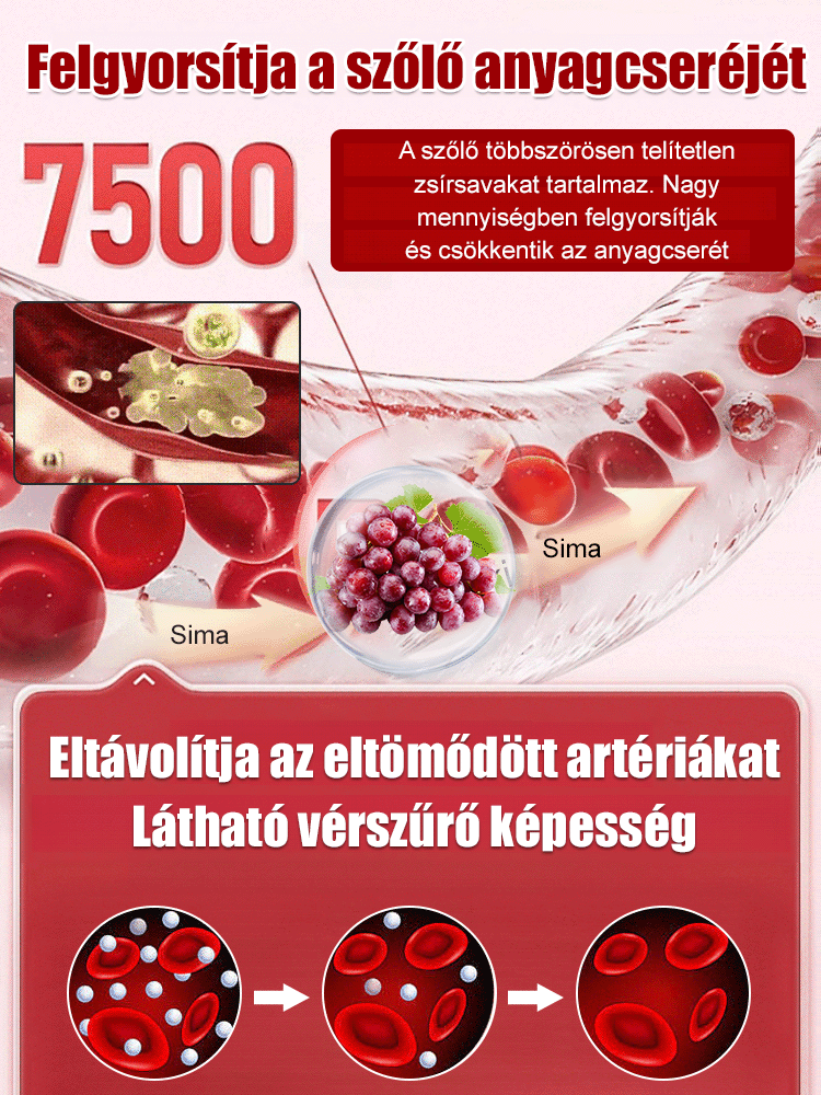 Nina királynő szőlőmagok, természetes boraromával