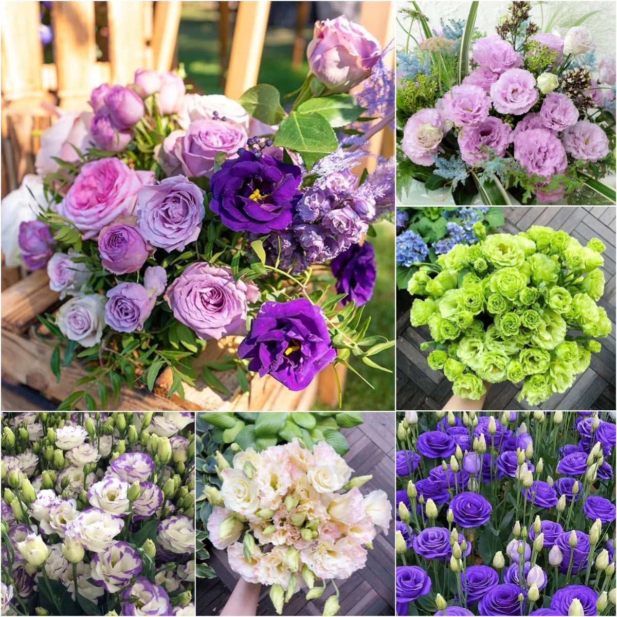 💐Lisianthus – Időtlen szépség, örök szerelem💫