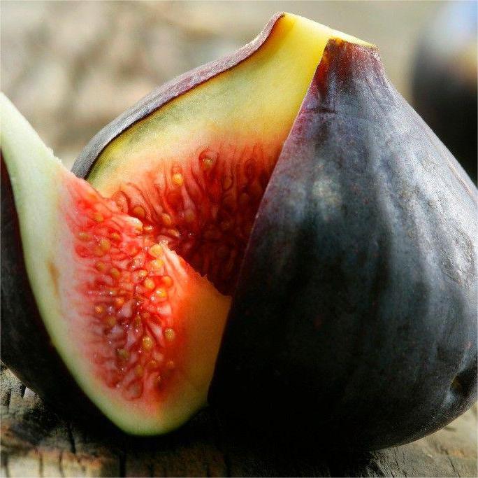 Nasiona fig SweetHarvest