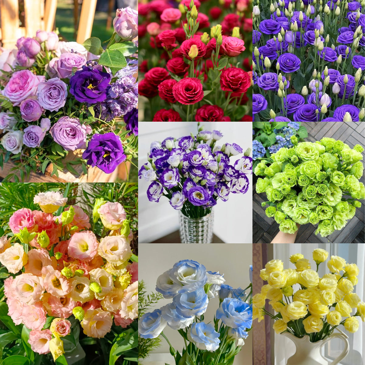 💐Lisianthus – Időtlen szépség, örök szerelem💫