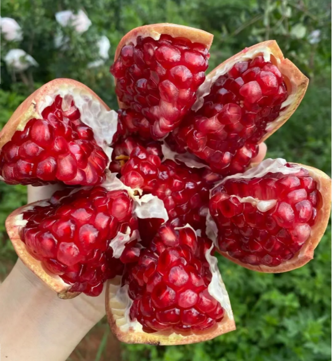 🍎 Gránátalmamagok – puha húsú, édes és lédús ízű