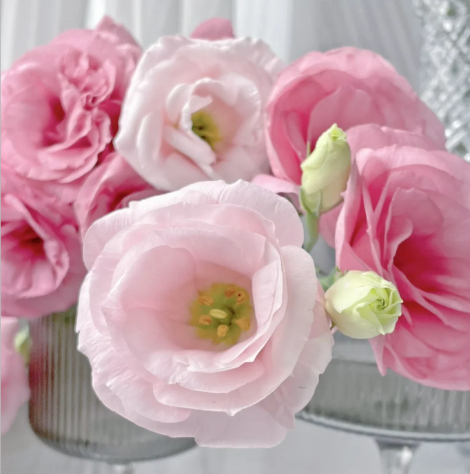 💐Lisianthus – Időtlen szépség, örök szerelem💫