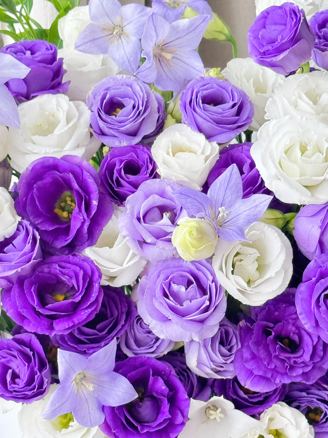 💐Lisianthus – Időtlen szépség, örök szerelem💫
