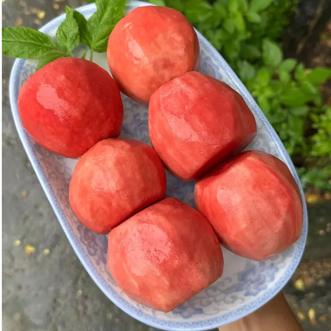🥂Rouge Guava otthoni termesztőkészlet❄️