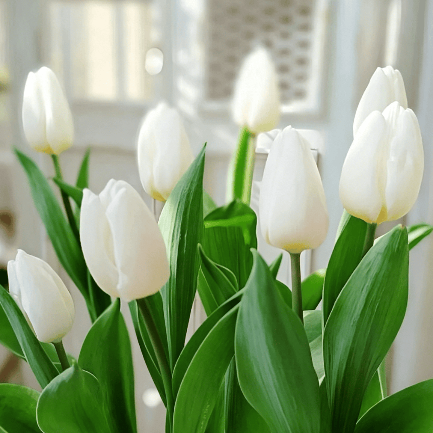 🌷Ritka tulipánmagok – Színes tavaszi virágok cserepekbe, szegélyekbe és kertekbe