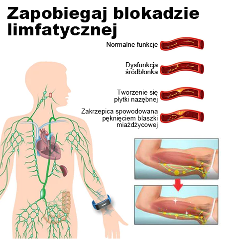🎁 Ultrahangos övek zsírégetéshez és méregtelenítéshez