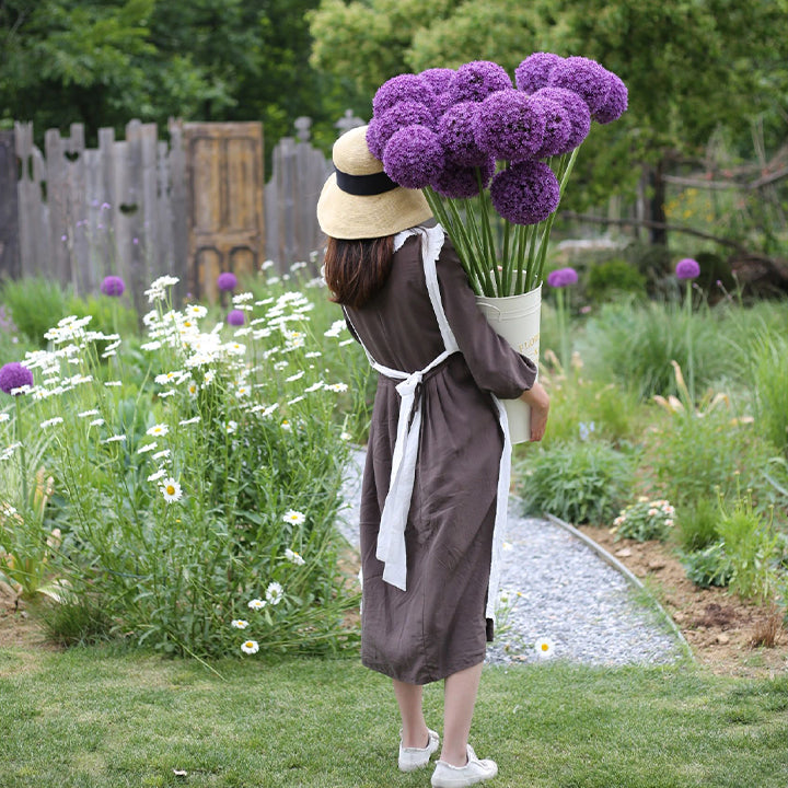 Allium Giganteum díszhagymavirág