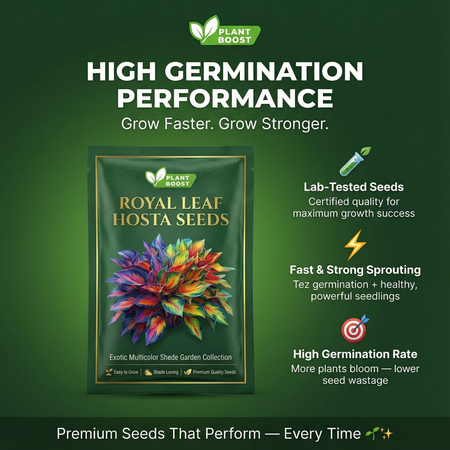 Nasiona hosty Royal Leaf