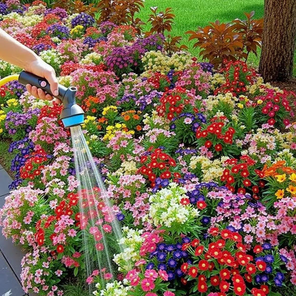 🌸 Egész évben virágzó kert – vess egyszer, és élvezd a színes virágok kavalkádját! 🦋🐝