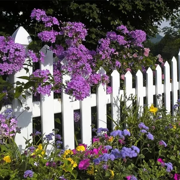🌸 Egész évben virágzó kert – vess egyszer, és élvezd a színes virágok kavalkádját! 🦋🐝