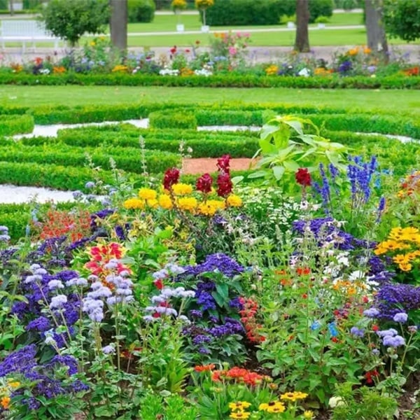🌸 Egész évben virágzó kert – vess egyszer, és élvezd a színes virágok kavalkádját! 🦋🐝