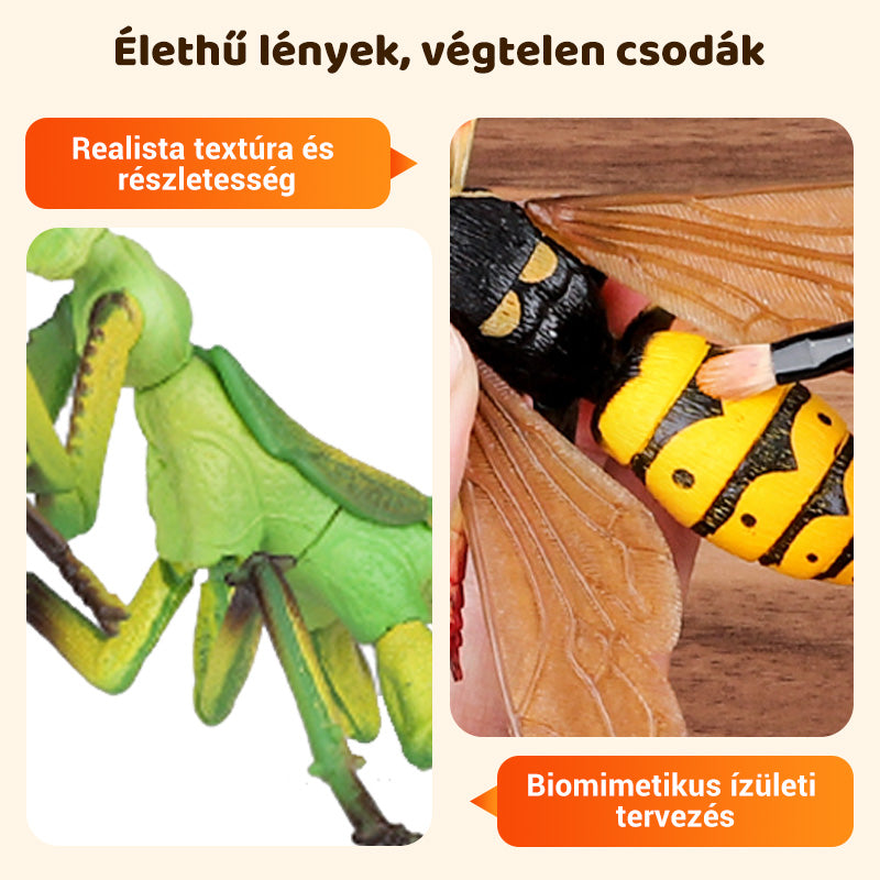 🪲Rovar- és állatszerelő játékok gyerekeknek