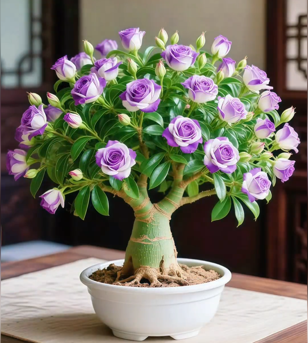 🌵 Rzadkie nasiona róży pustyni 🌺 Łatwe w uprawie