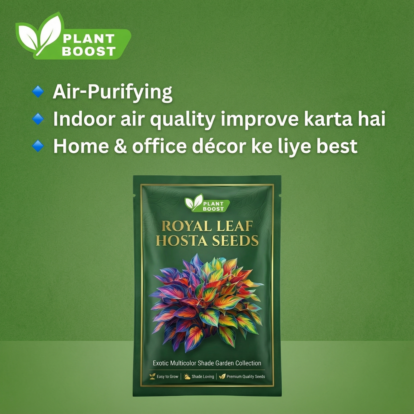 Nasiona hosty Royal Leaf