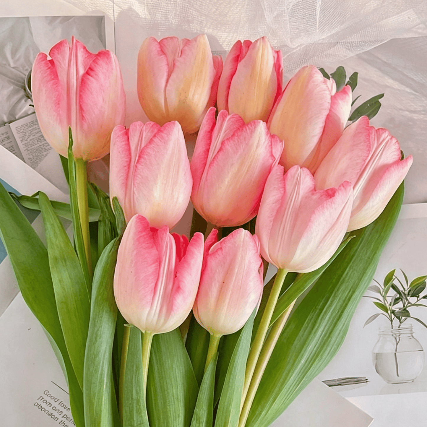 🌷Ritka tulipánmagok – Színes tavaszi virágok cserepekbe, szegélyekbe és kertekbe
