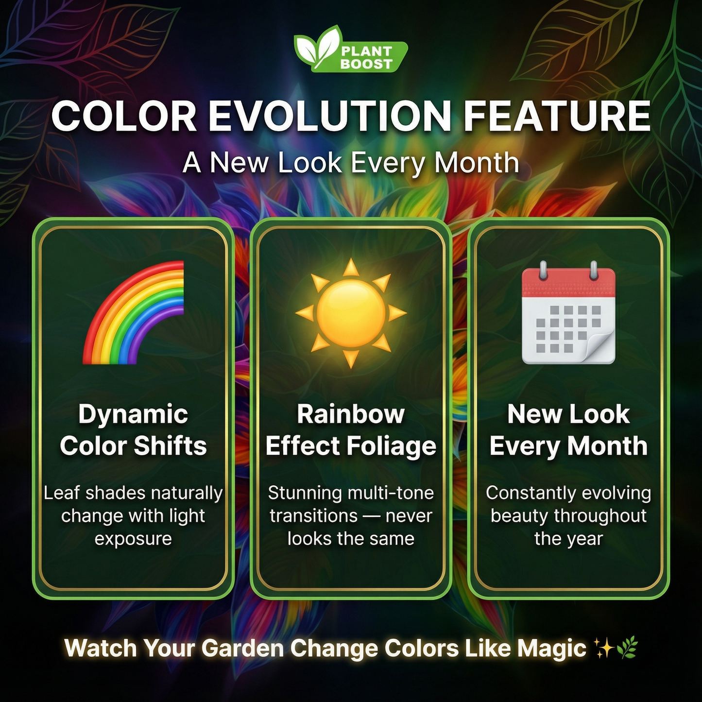 Nasiona hosty Royal Leaf