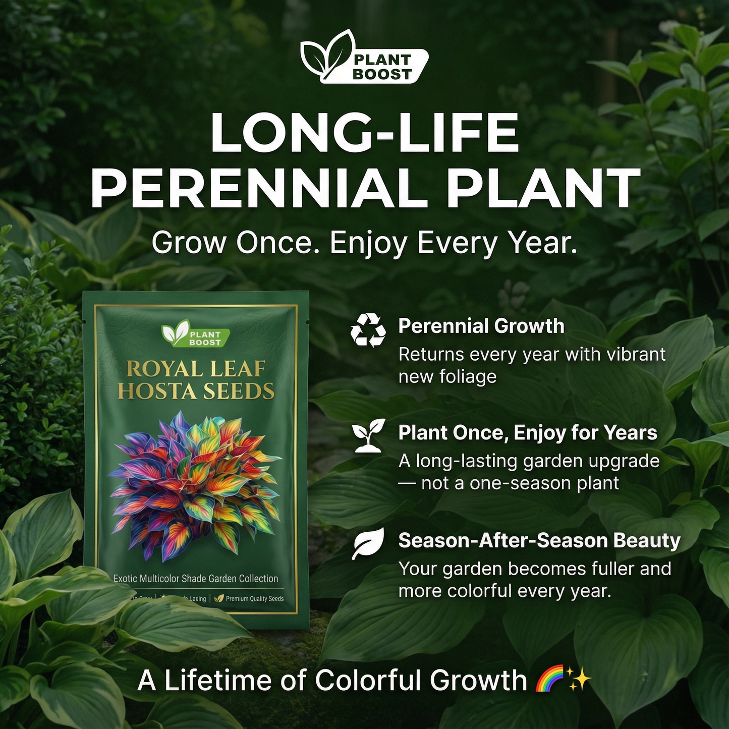 Nasiona hosty Royal Leaf