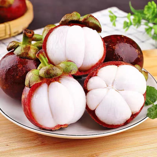 Mangostan