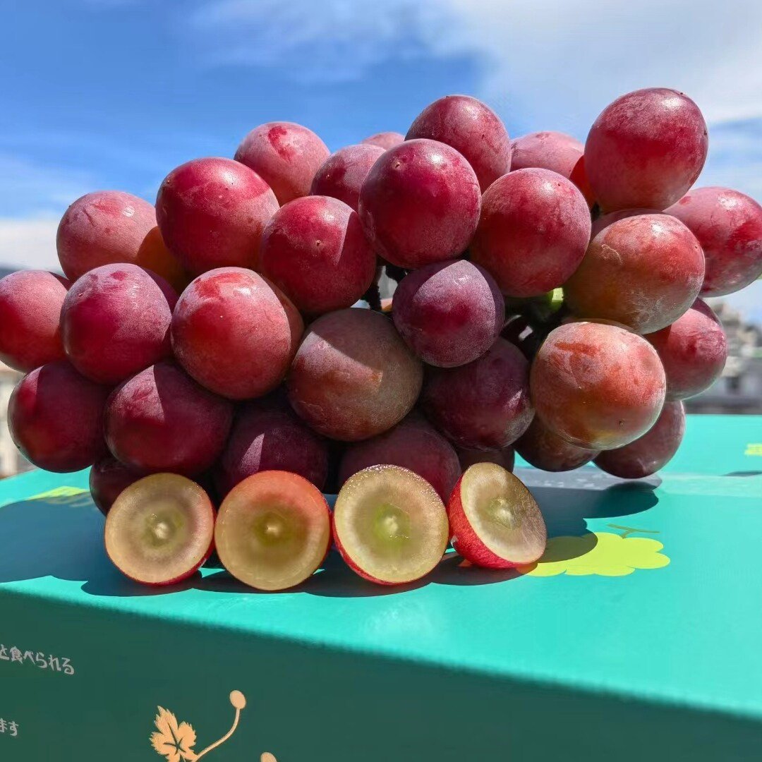 Limitált kiadású új fajta – Queen Nina szőlőmagok édes, lédús kerti termésért 🍇