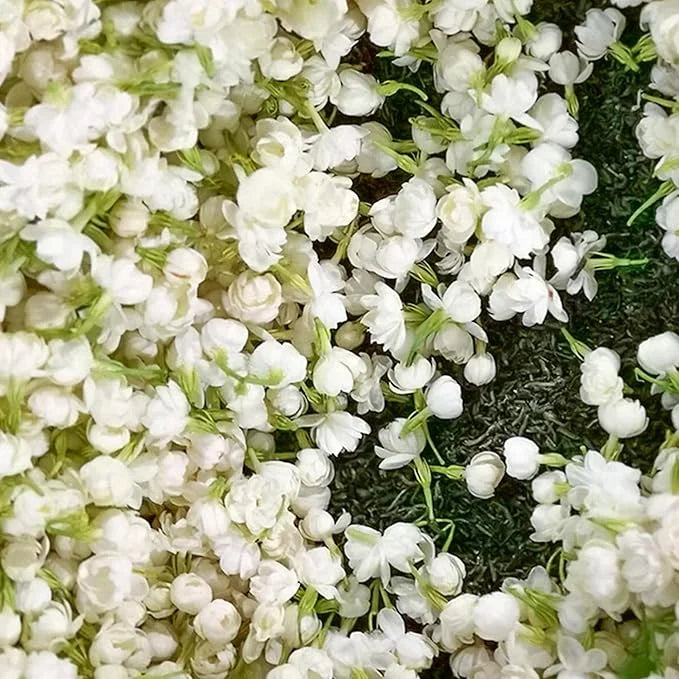 UTOLSÓ NAPOS AKCIÓ 35% KEDVEZMÉNY 🌸 Jázmin cserepes növény (🌱Túlélési garancia: Ingyenes pótlás🌿)