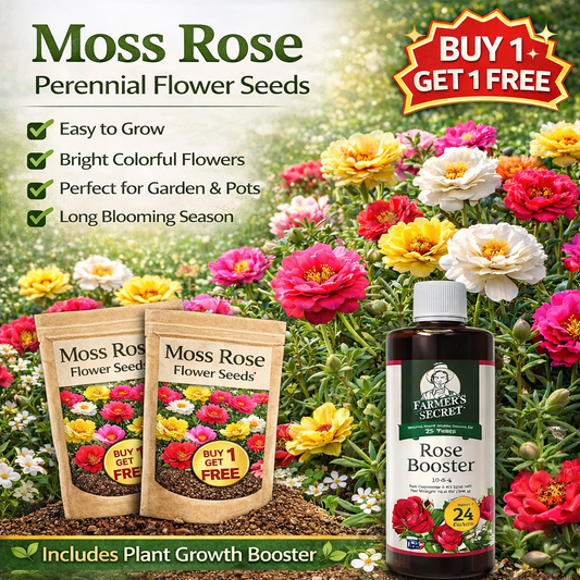 💫🌸KUP 1, DOSTAŃ 1 GRATIS | Moss Rose🌿Nasiona kwiatów wieloletnich z suplementem wspomagającym wzrost roślin
