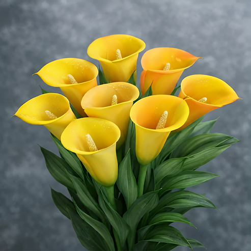 🌷Titokzatos Aurora kála