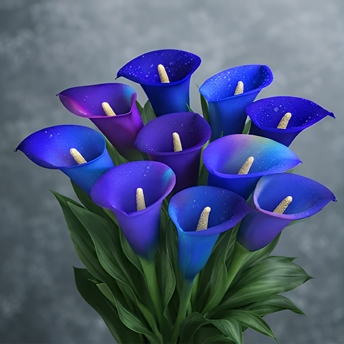 🌷Titokzatos Aurora kála