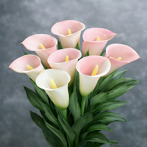 🌷Titokzatos Aurora kála