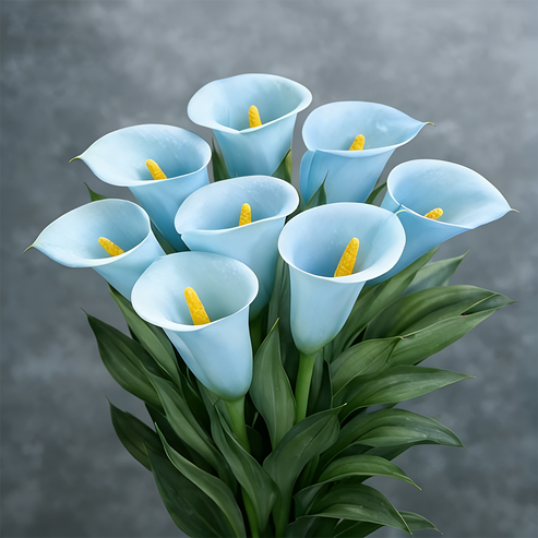 🌷Titokzatos Aurora kála