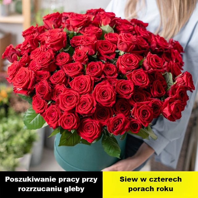 Przynieś miłość i szczęście Tęczowe nasiona róż