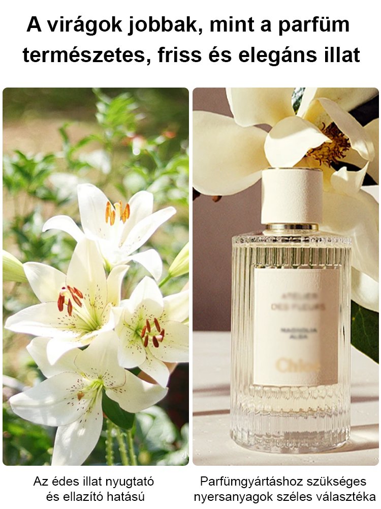 【Bardziej pachnący niż perfumy】Cebulki lilii Four Seasons pachnące na tysiące mil，Kwitnie co roku