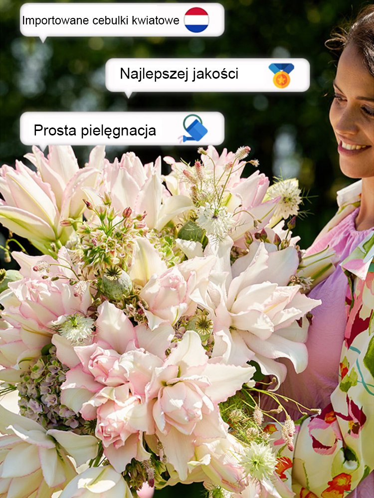 【Bardziej pachnący niż perfumy】Cebulki lilii Four Seasons pachnące na tysiące mil，Kwitnie co roku