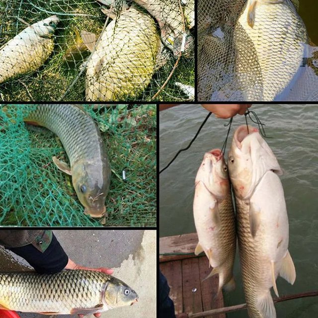 Składana wędka