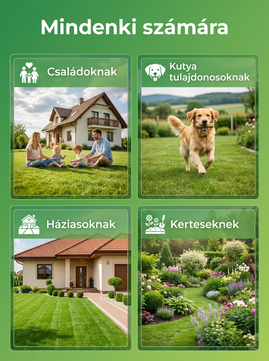 【Csírázási arány 99%】Négyszezonos fagyálló pázsitmag