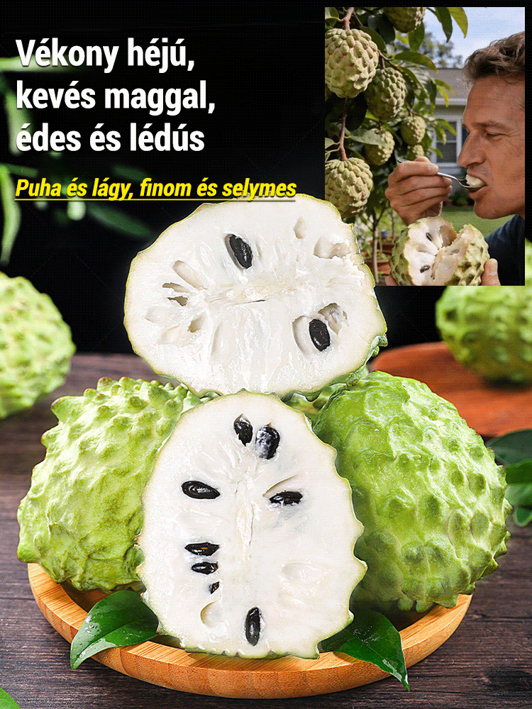 Tüskés annóna magok