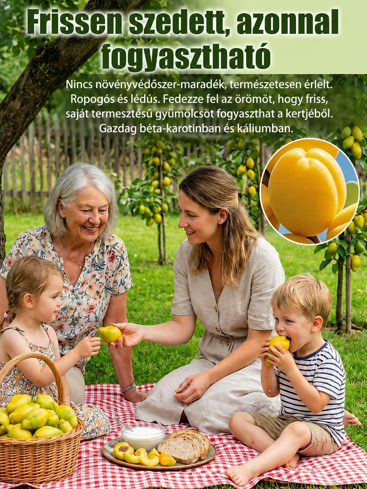 [Ropogós, édes és lédús] Hidegtűrő, törpe, könnyen gondozható "Pepper Apricot" csemete