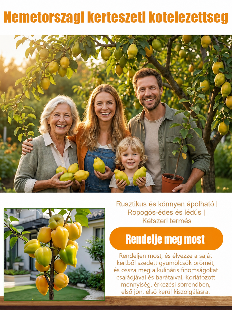[Ropogós, édes és lédús] Hidegtűrő, törpe, könnyen gondozható "Pepper Apricot" csemete
