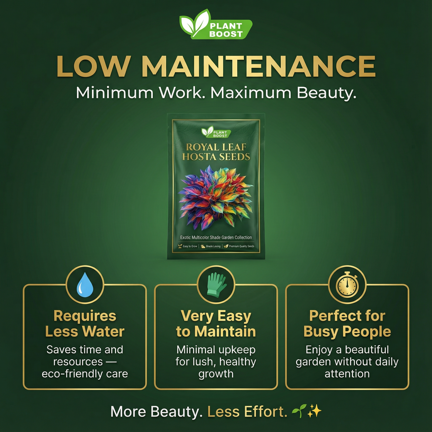 Nasiona hosty Royal Leaf