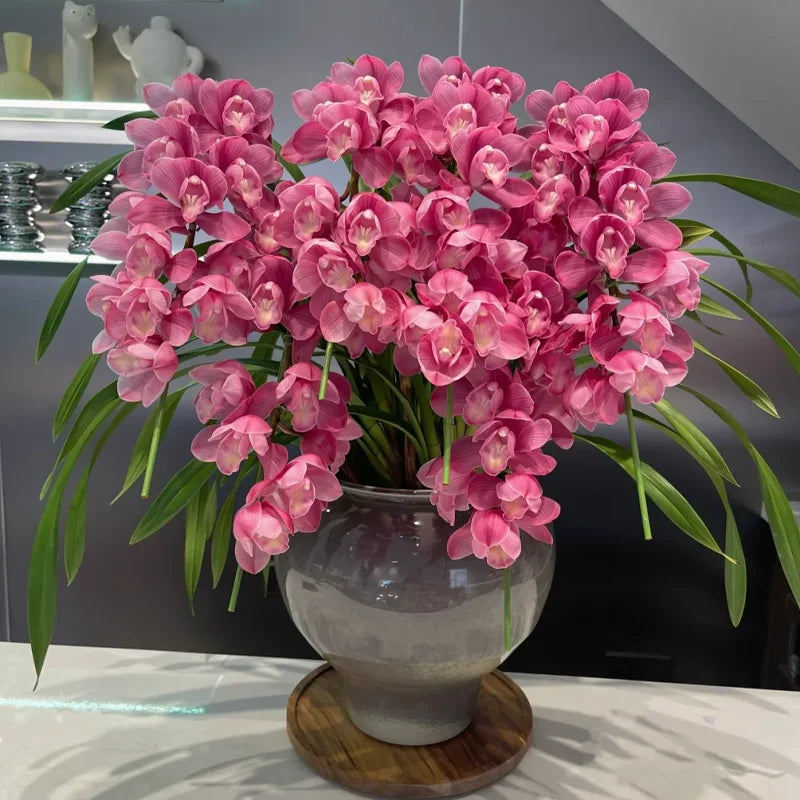 👑 Az orchideák királynője — Tartós Cymbidium hagymák