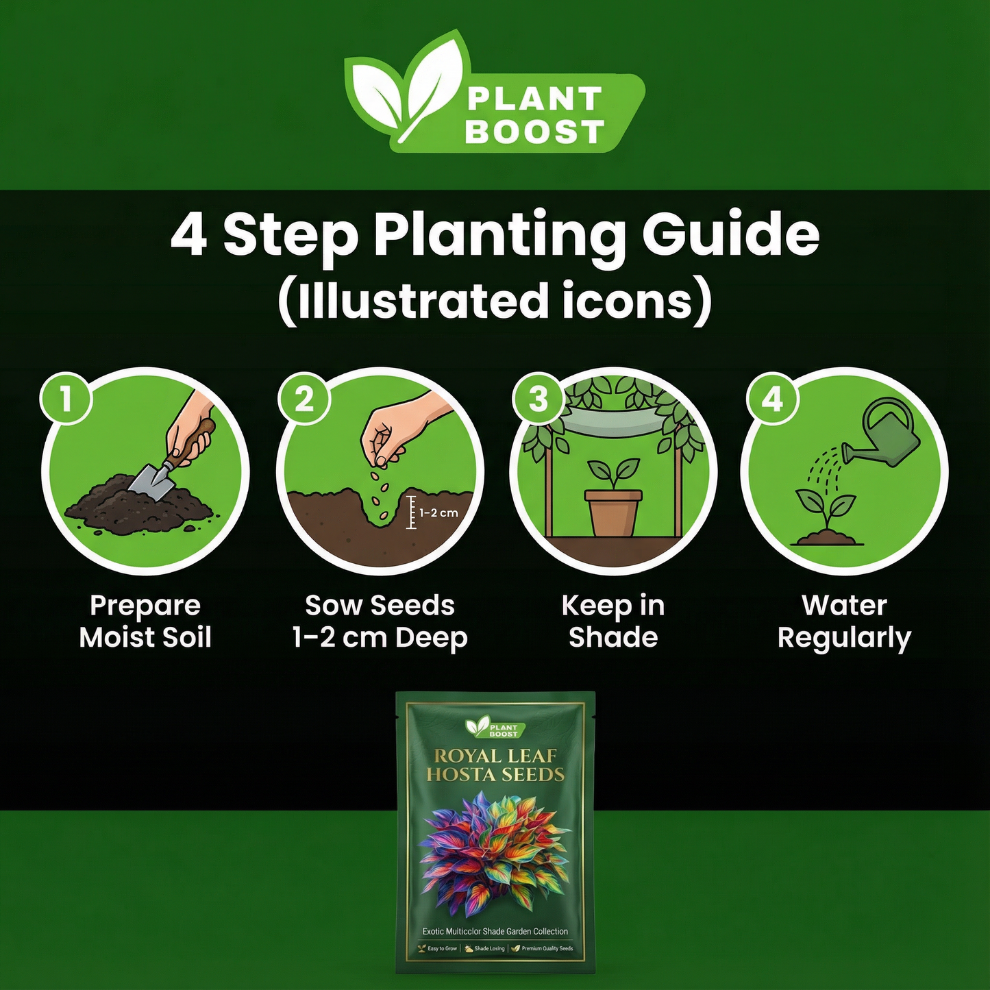 Nasiona hosty Royal Leaf