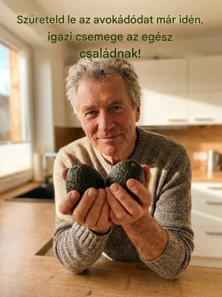Mexikói avokádó palánta (első éves termés)