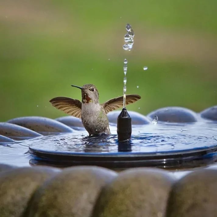 🔥Napenergia madárszökőkutak🐦️