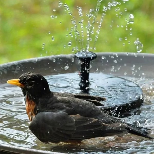 🔥Napenergia madárszökőkutak🐦️
