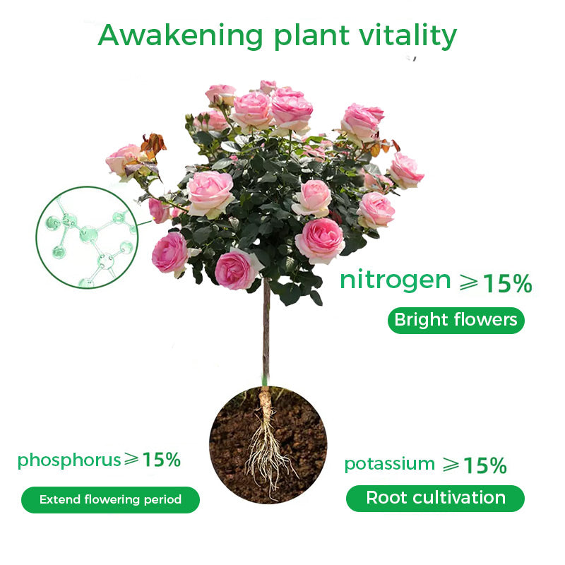 🌱Virágzásfokozó por | Gyors gyökérnövekedés + nagyobb virágok!🌸