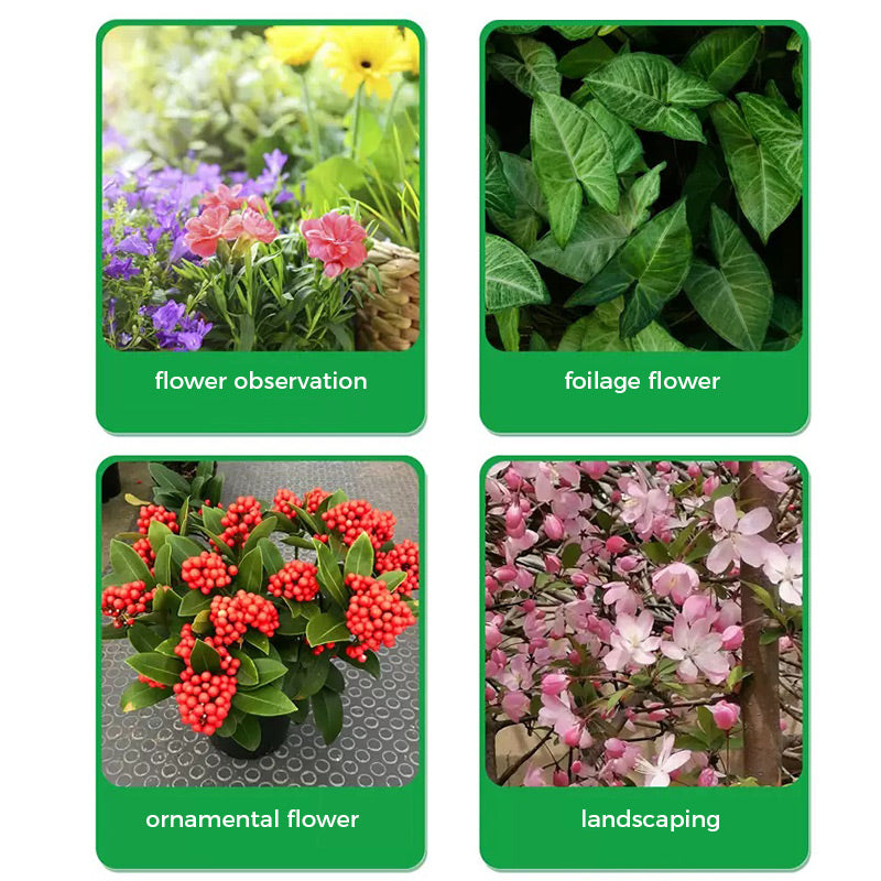 🌱Virágzásfokozó por | Gyors gyökérnövekedés + nagyobb virágok!🌸