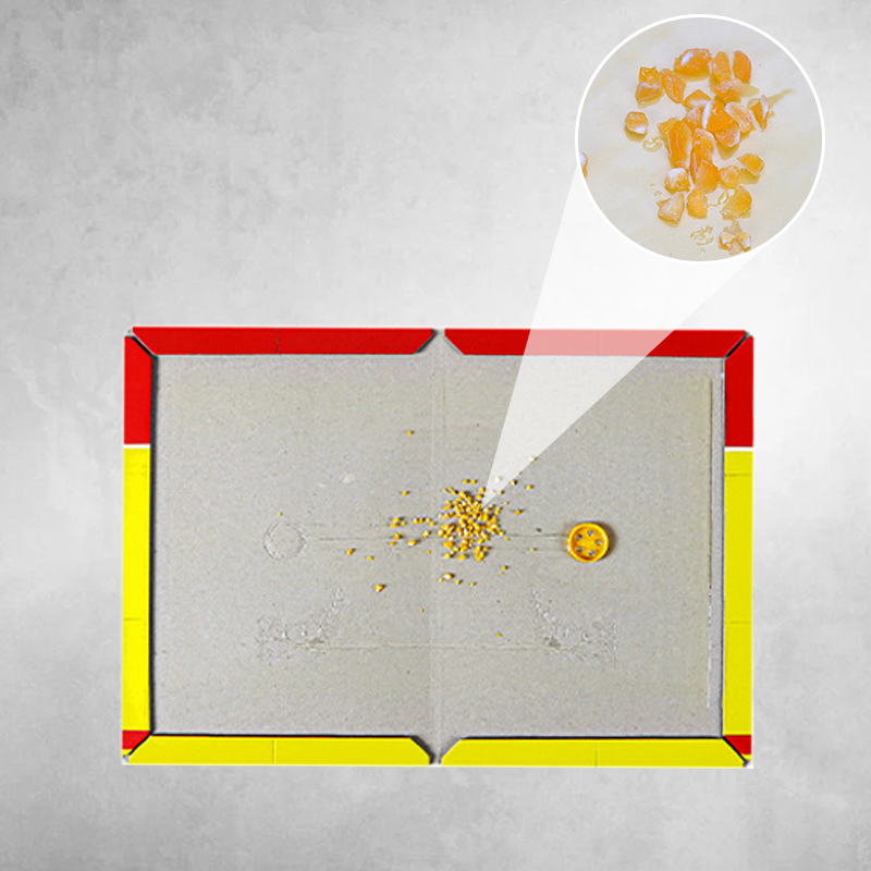 Bardzo duże pułapki klejowe na szczury